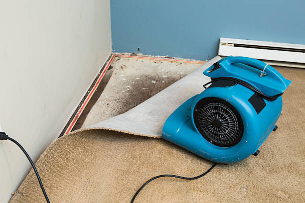 Best Wood Floor Water Damage Restoration in Lincoln, IL